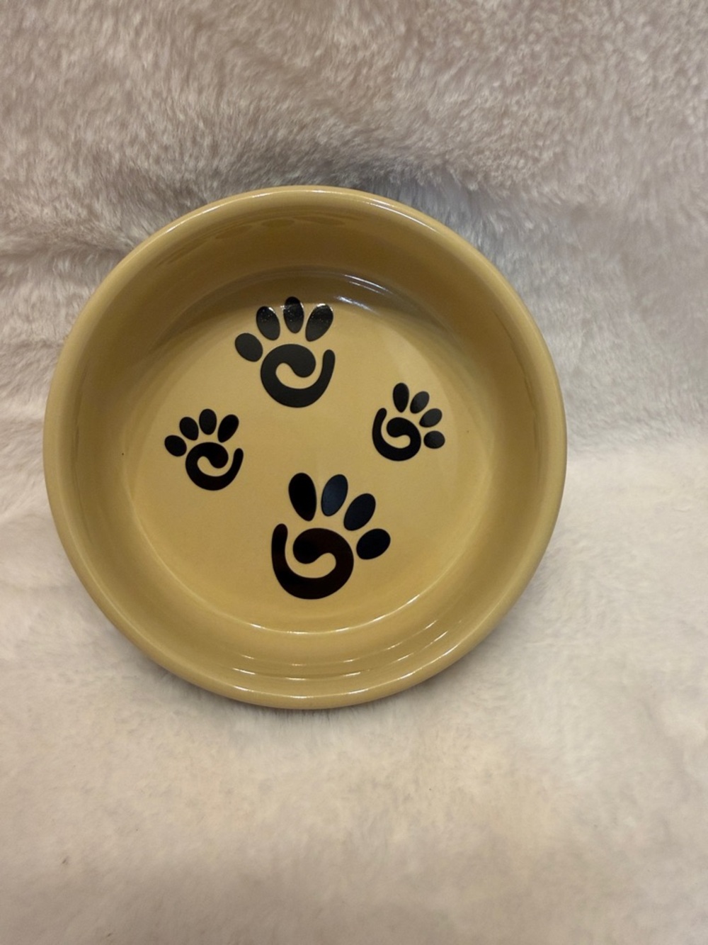 🐾 SPOT Black And Yellow Ceramic Cat Dish